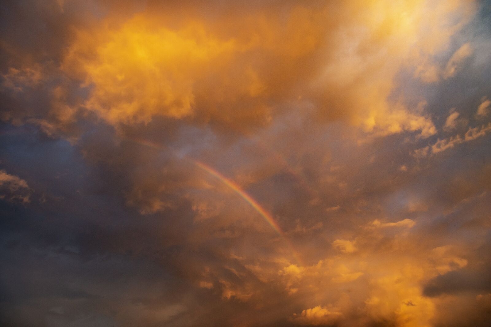 Nikon D610 sample photo. Rainbow, sky, landscape photography