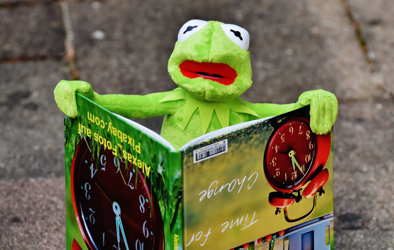 Nikon D7200 sample photo. Kermit, book, picture book photography