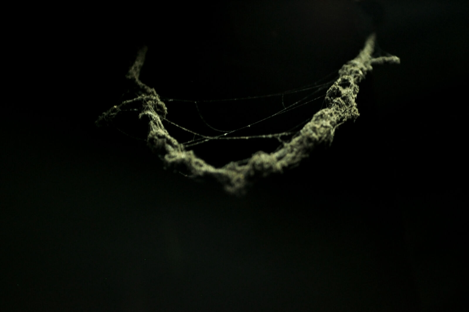 Nikon D5000 sample photo. Close, up, cobwebs, dark photography