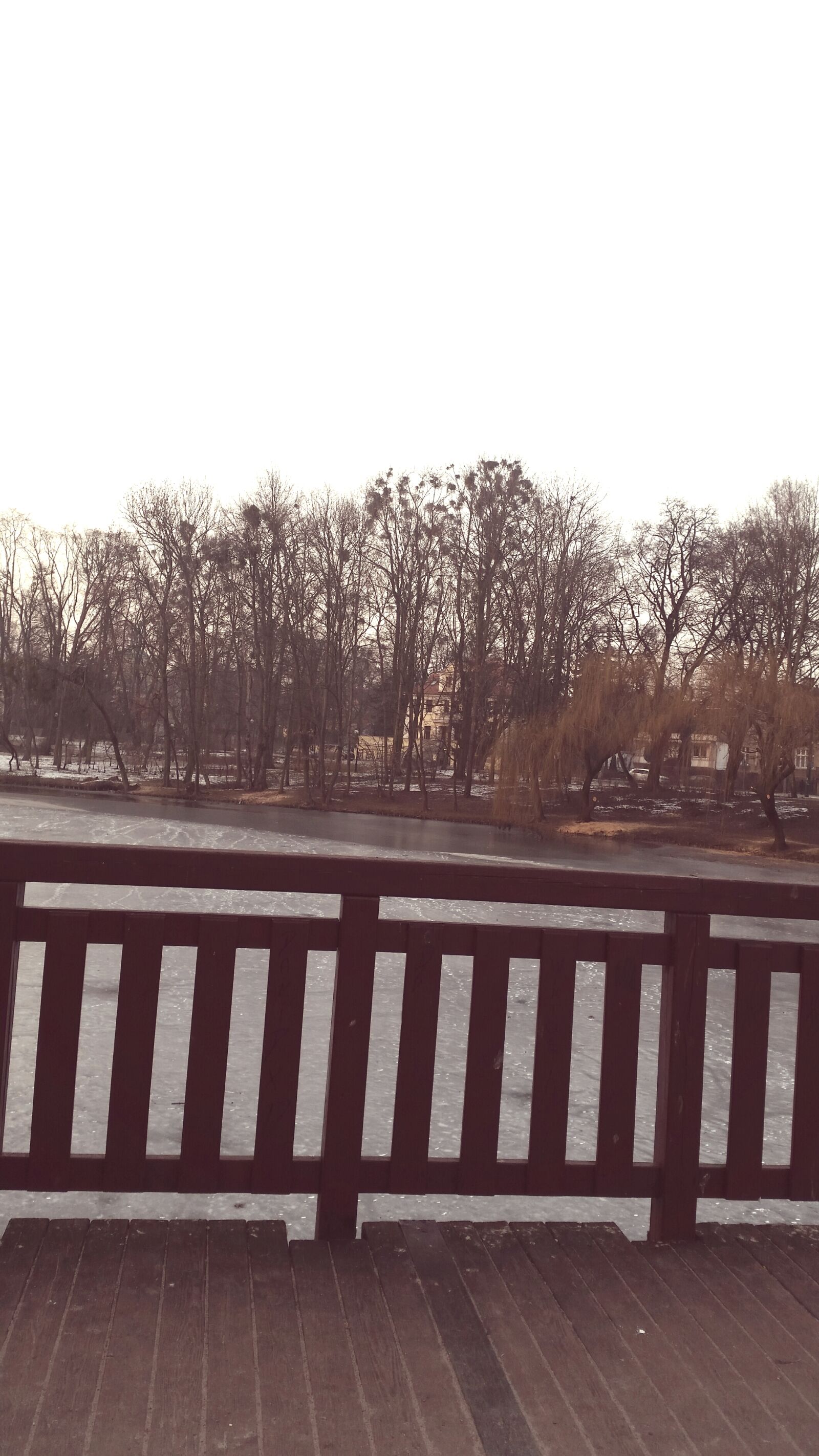 Samsung Galaxy S5 sample photo