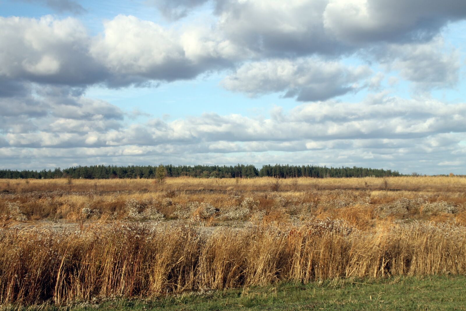 Canon EOS 1100D (EOS Rebel T3 / EOS Kiss X50) sample photo. Field, landscape, sky photography