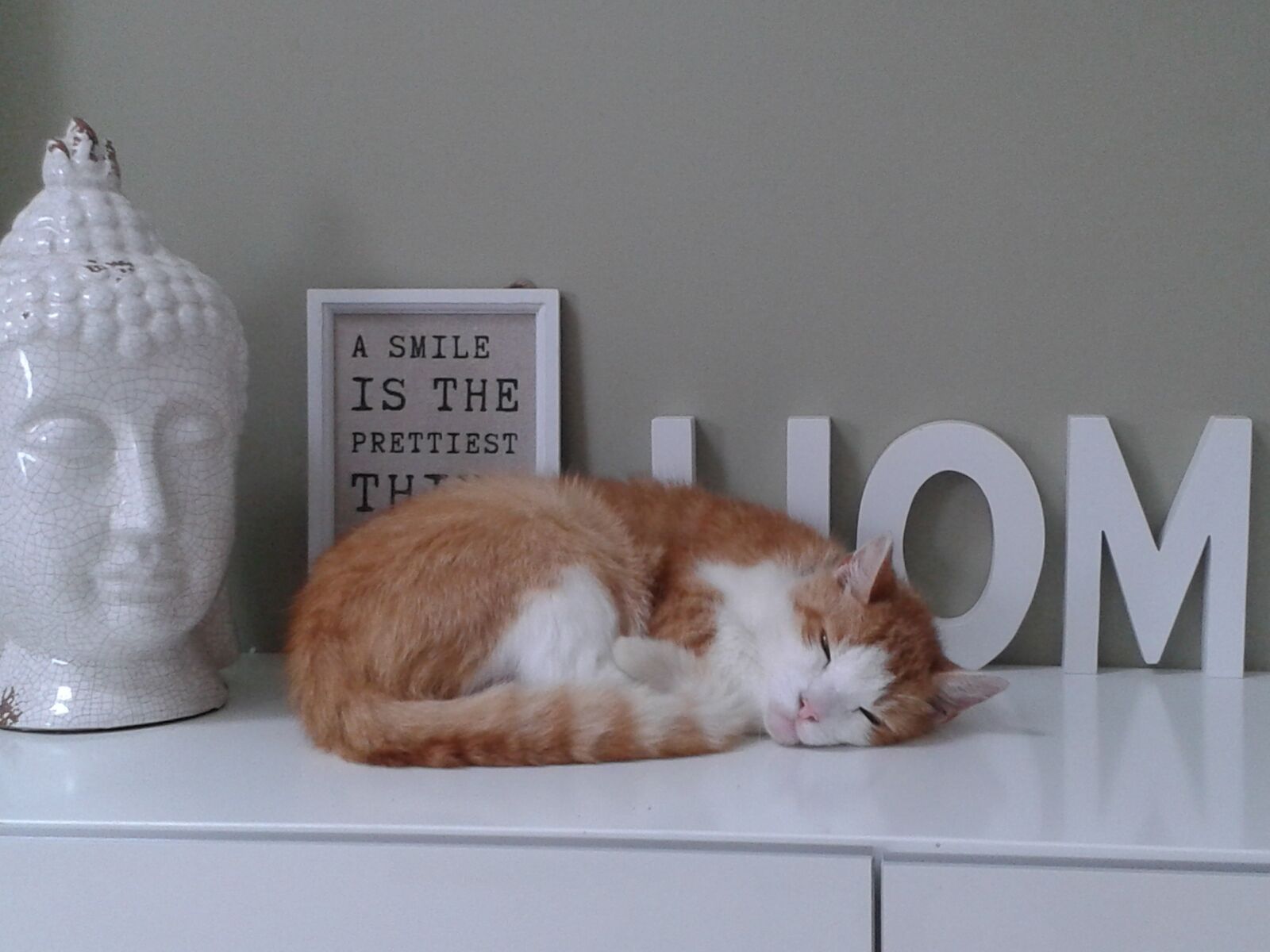 Samsung Galaxy S3 Mini sample photo. Cat, home, buddha photography
