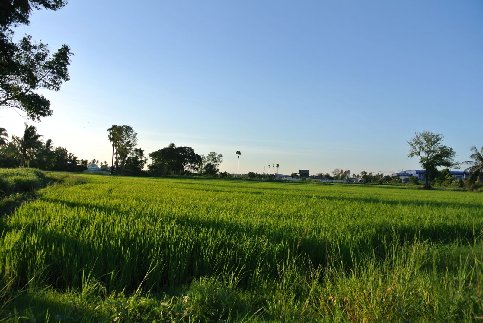 Nikon 1 J1 sample photo. Landscape photography