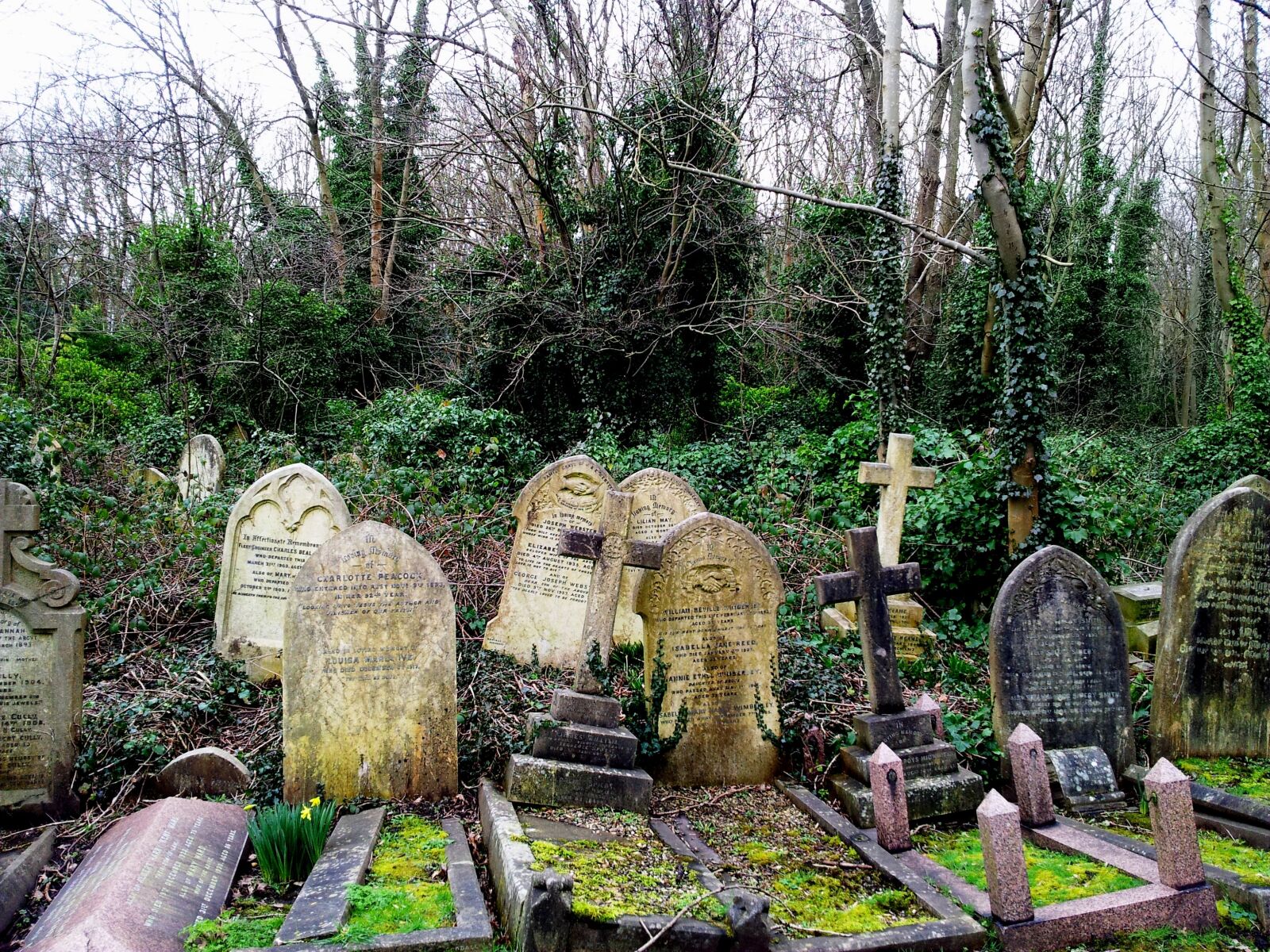 Samsung Galaxy S2 sample photo. Cemetery, grave, tombstone photography