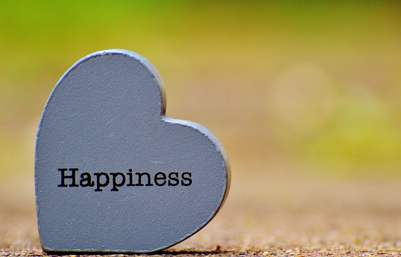 Nikon D3200 sample photo. Laugh, cheerful, happy photography