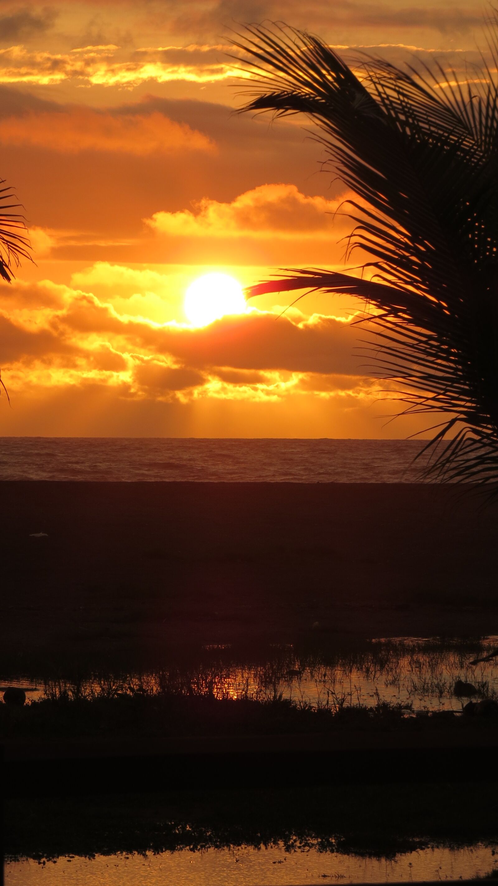 Canon PowerShot SX50 HS sample photo. Sun, sunset, nature photography