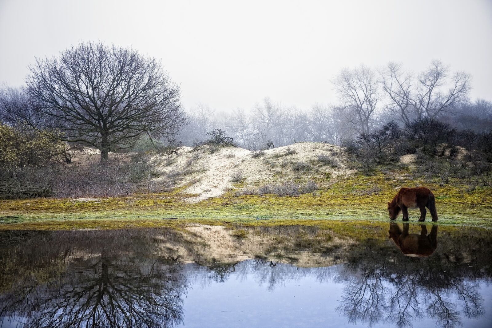 Fujifilm X100T sample photo. Nature, water, landscape photography
