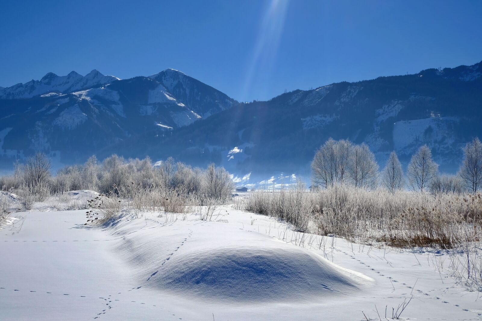 Fujifilm X-T20 sample photo. Nature, landscape, wintry photography