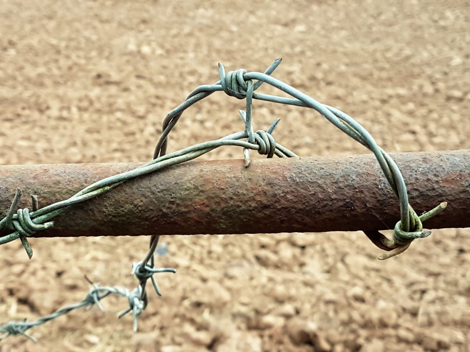 Samsung Galaxy S7 Edge sample photo. Wire, metal, barbed photography