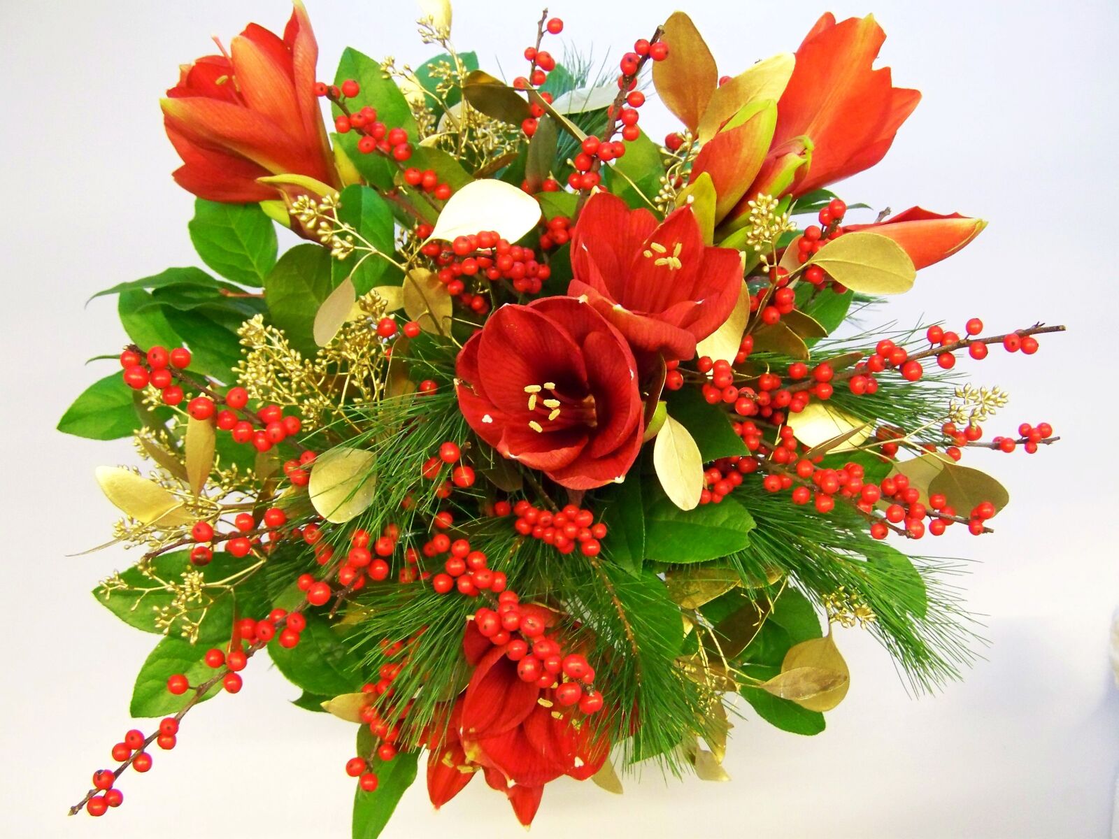 Kodak EASYSHARE ZD710 ZOOM DIGITAL CAMERA sample photo. Bunch of flowers, red photography