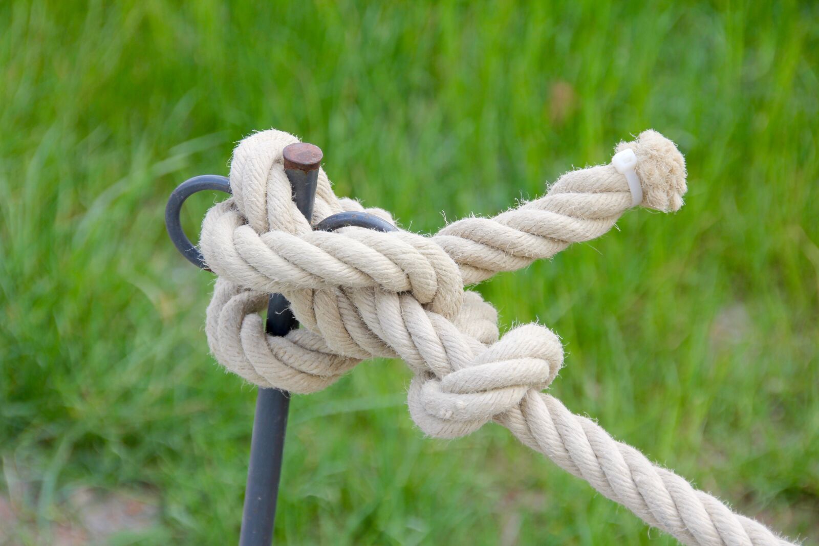 Canon EOS 60D sample photo. Rope, knot, barrier tape photography