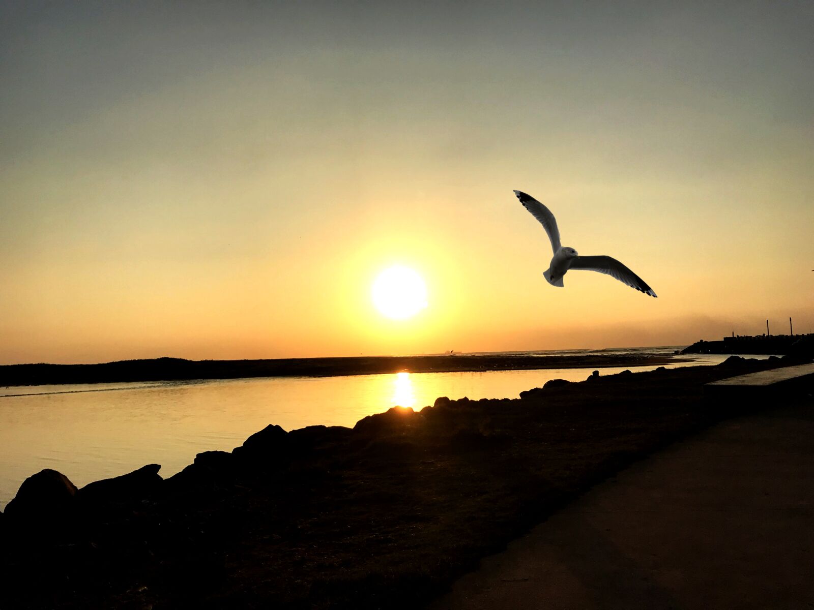 Apple iPhone 7 sample photo. Sunset, evening, dawn photography