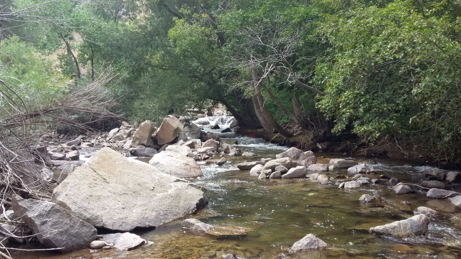 Samsung Galaxy S5 Mini sample photo