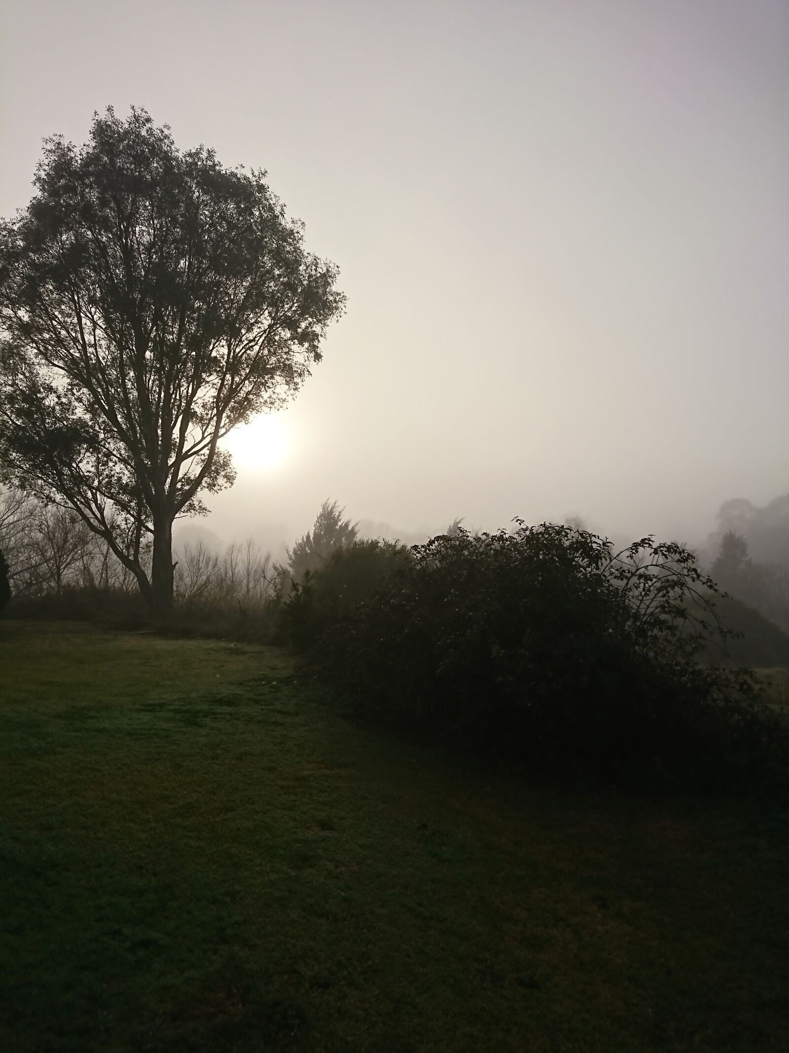 Sony Xperia XZ sample photo. Fog, tallangatta, victoria photography