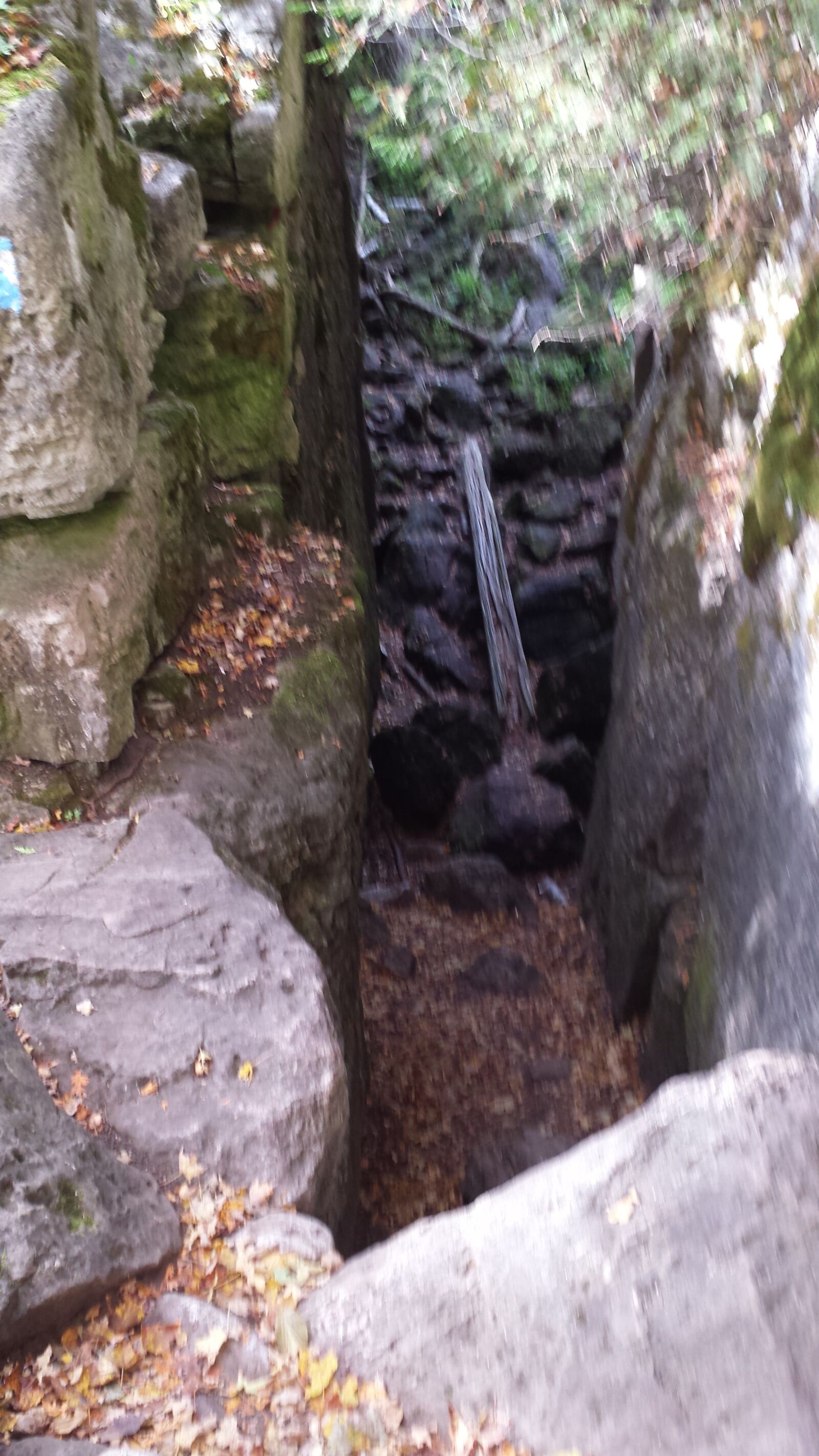 Samsung Galaxy S4 sample photo. Rock, trees, crevasse photography