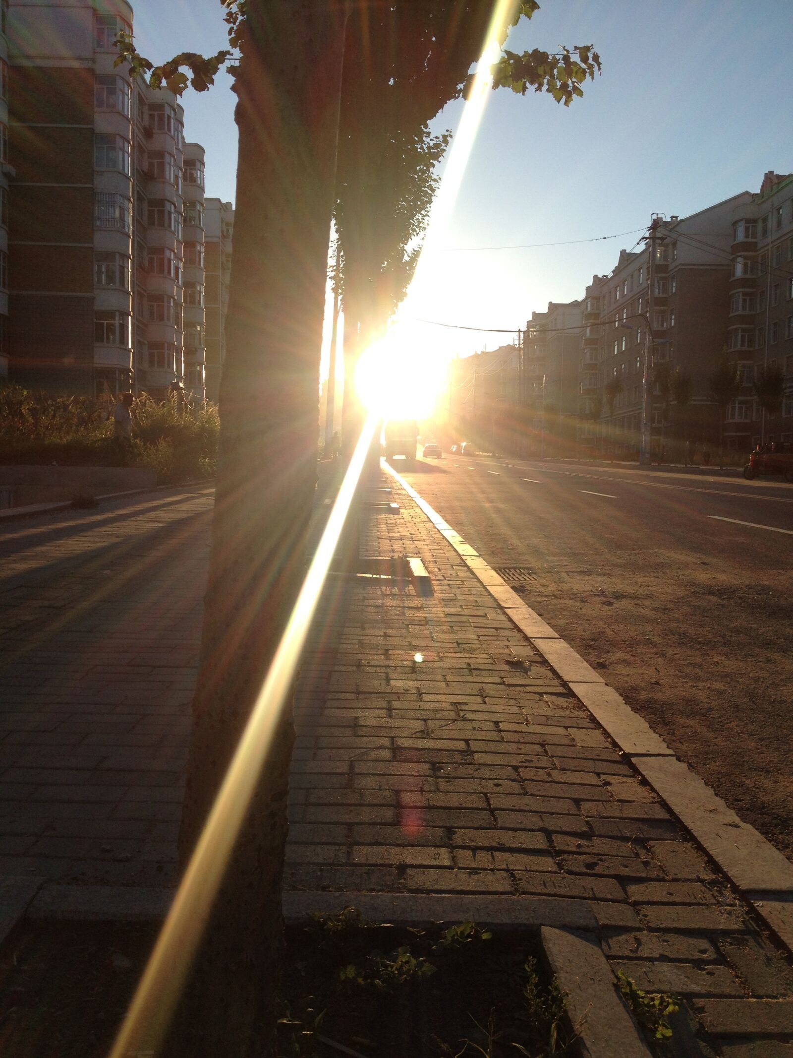 iPhone 4S back camera 4.28mm f/2.4 sample photo. Sunshine, street, trees photography