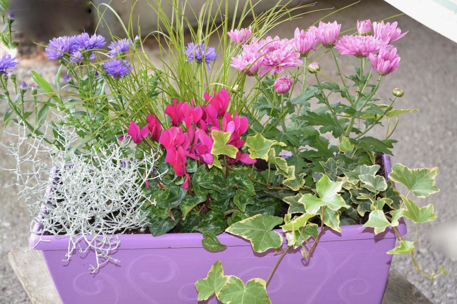 Nikon D5200 sample photo. Flowers, floral composition, offer photography