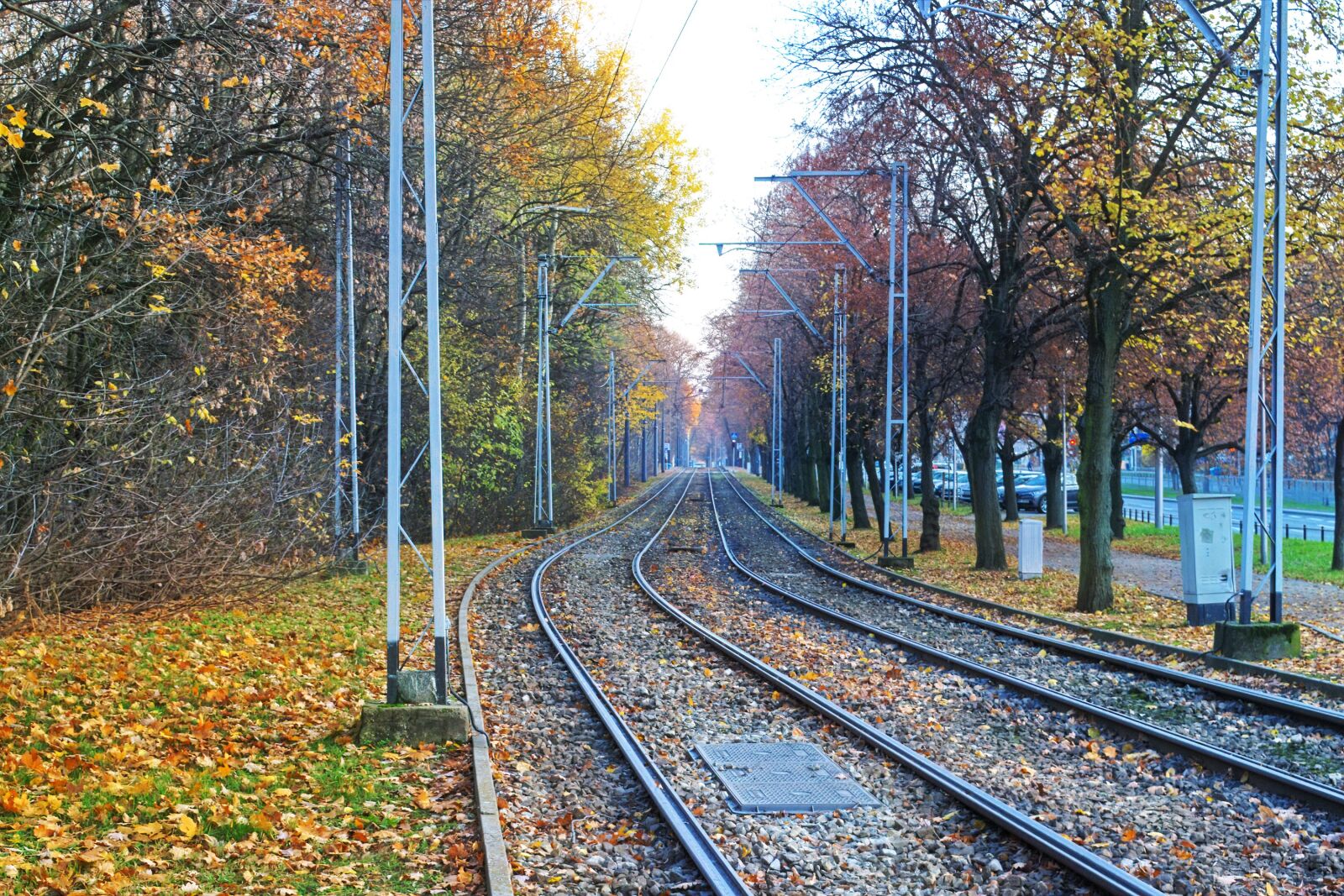 Nikon D3100 sample photo. Landscape, tram lines, nature photography