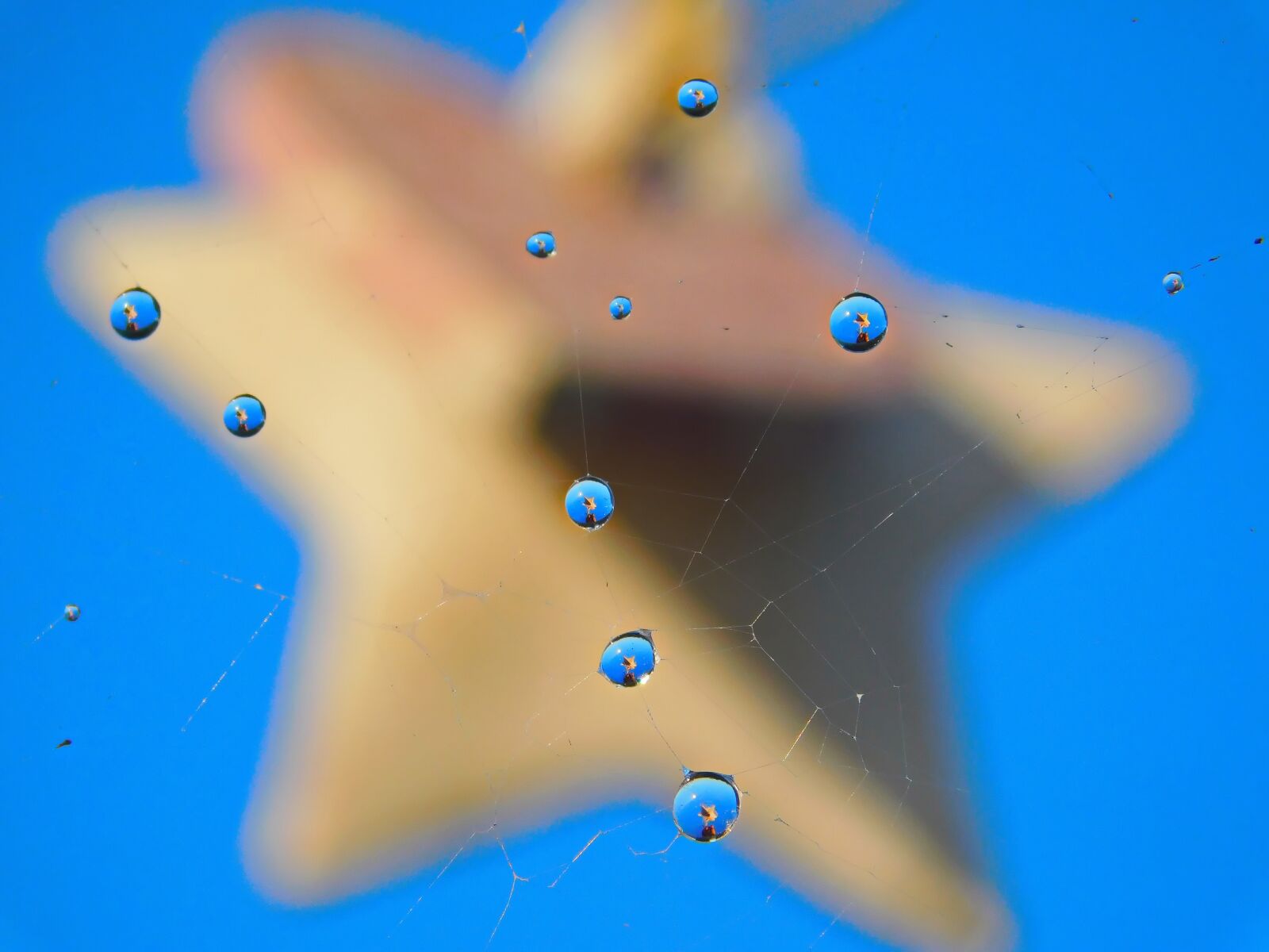 Nikon Coolpix B500 sample photo. Drops, water, nature photography
