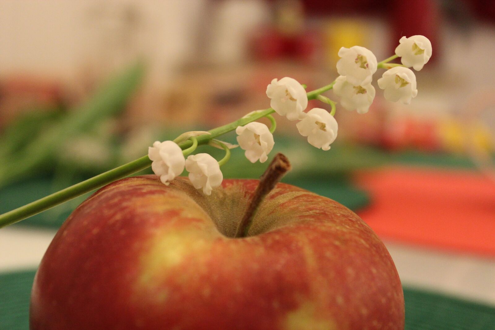 Canon EOS 600D (Rebel EOS T3i / EOS Kiss X5) sample photo. Apple, lilies of the photography