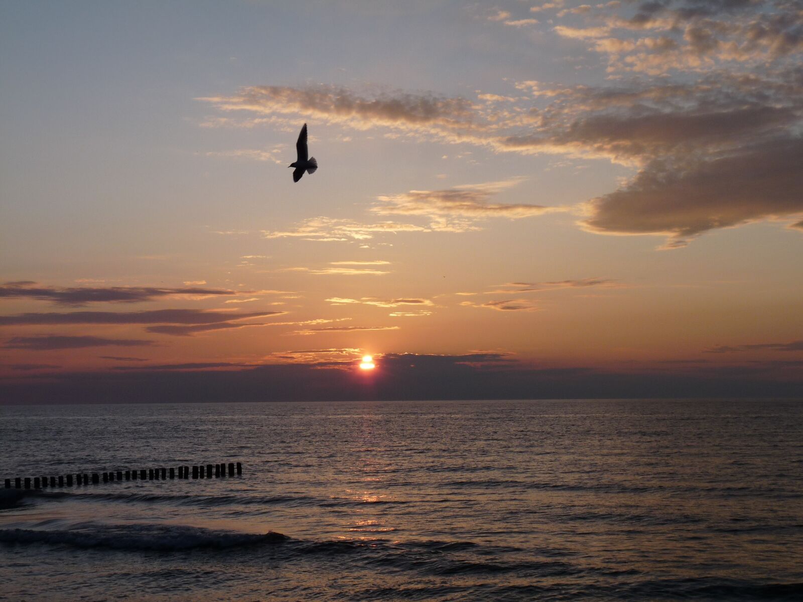 Panasonic Lumix DMC-FZ28 sample photo. Baltic sea, ko obrzeg photography