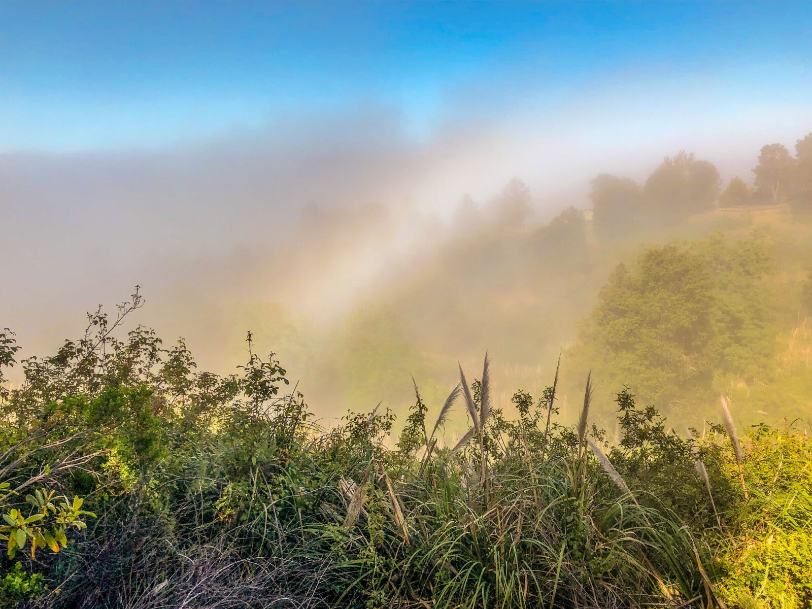 Apple iPhone X sample photo. Rainbow, big sur, monastery photography