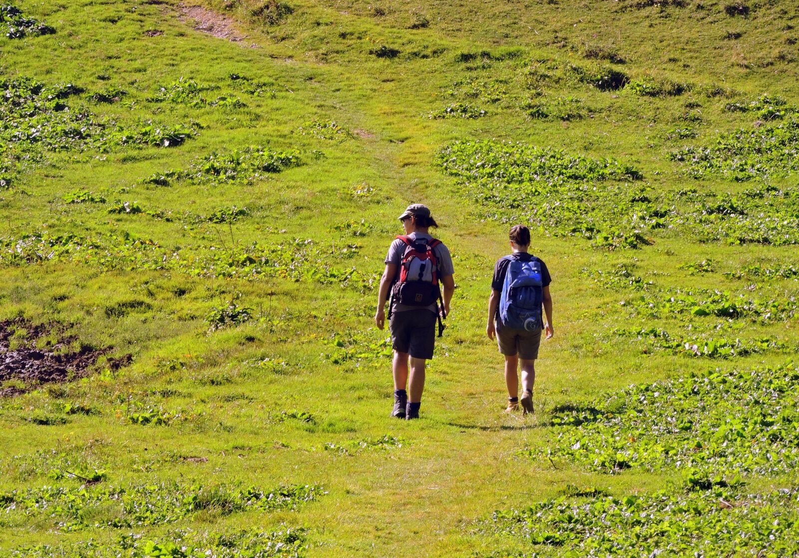 Nikon Coolpix P600 sample photo. Hiking, walk, prato photography