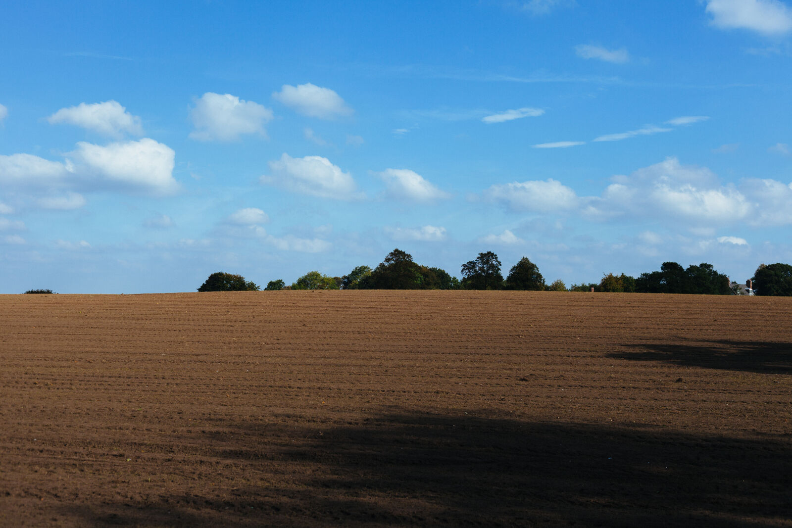 Canon EF 50mm F1.8 II sample photo. Field, agriculture, soil photography