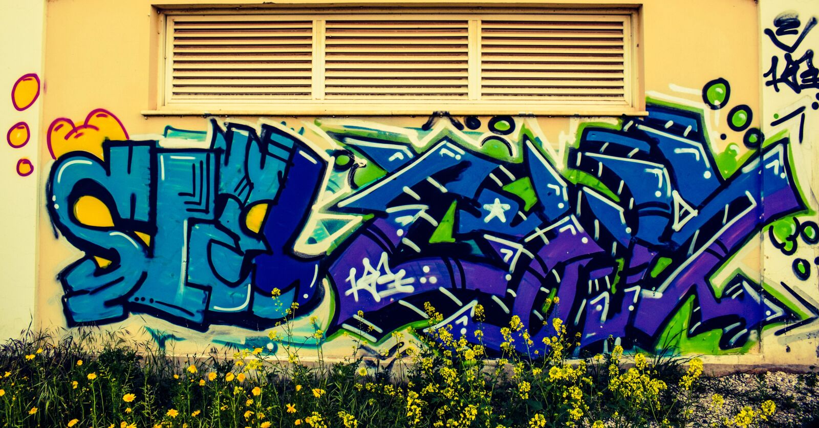 Nikon D3300 sample photo. Graffiti, wall, urban photography