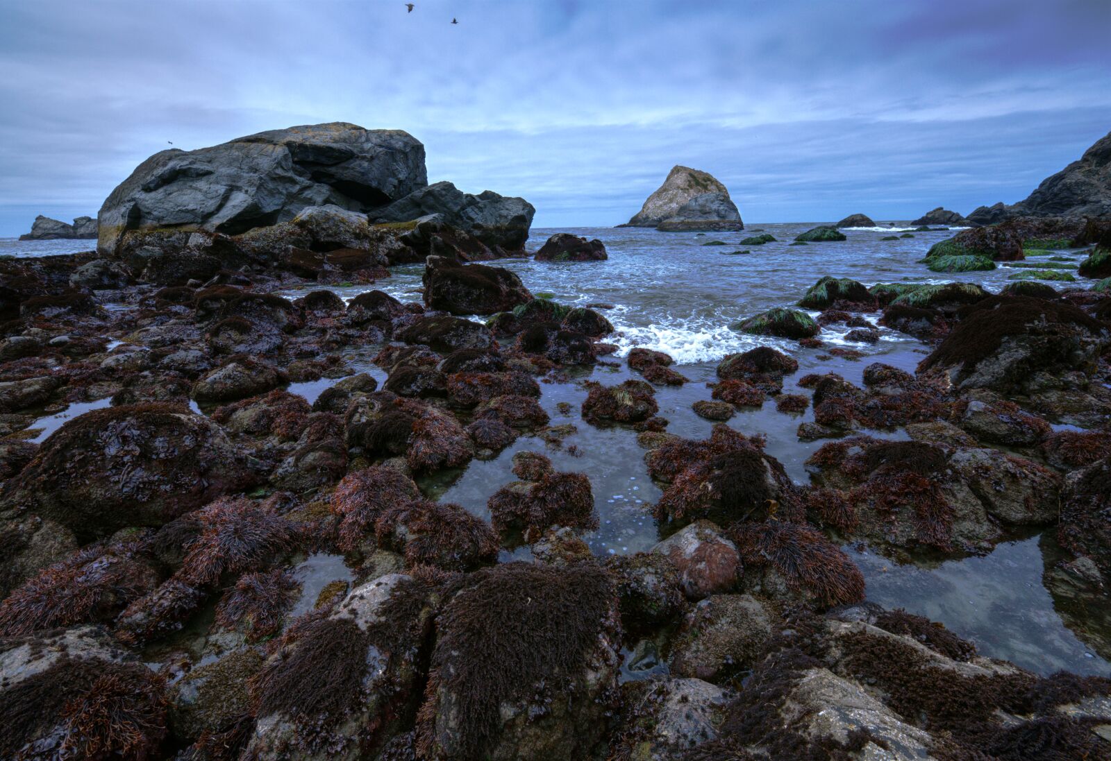 Nikon D850 sample photo. Coast, california, pacific photography