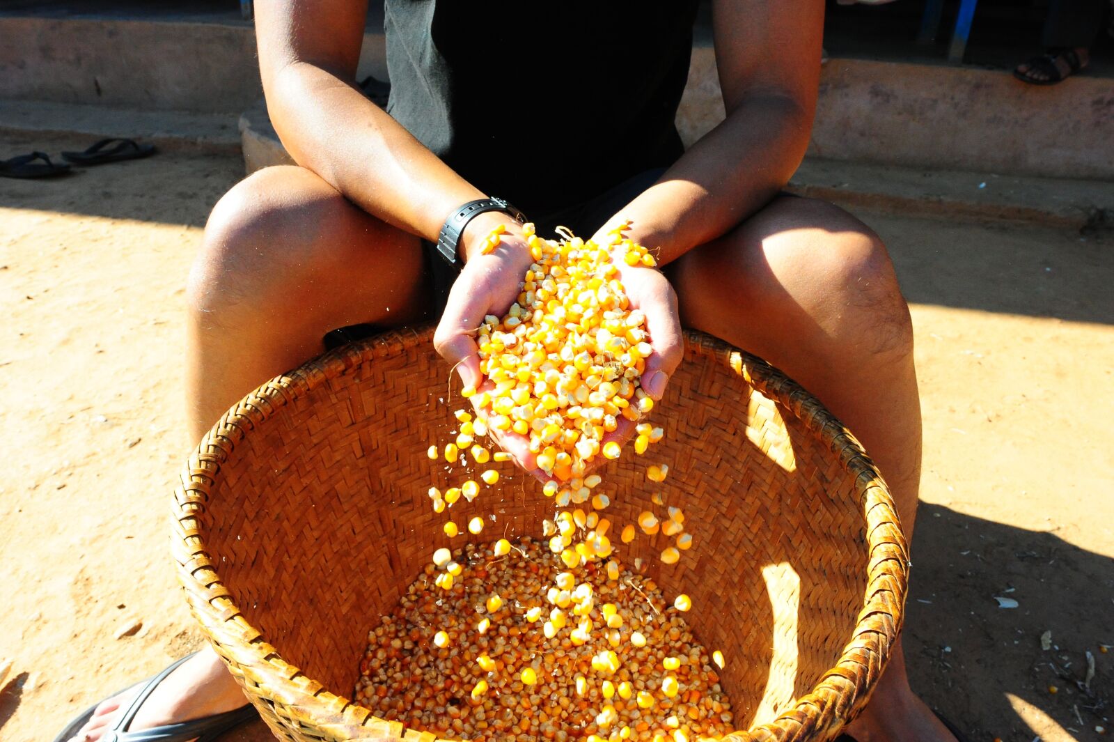 Nikon D3 sample photo. Corn, farming, nepal photography