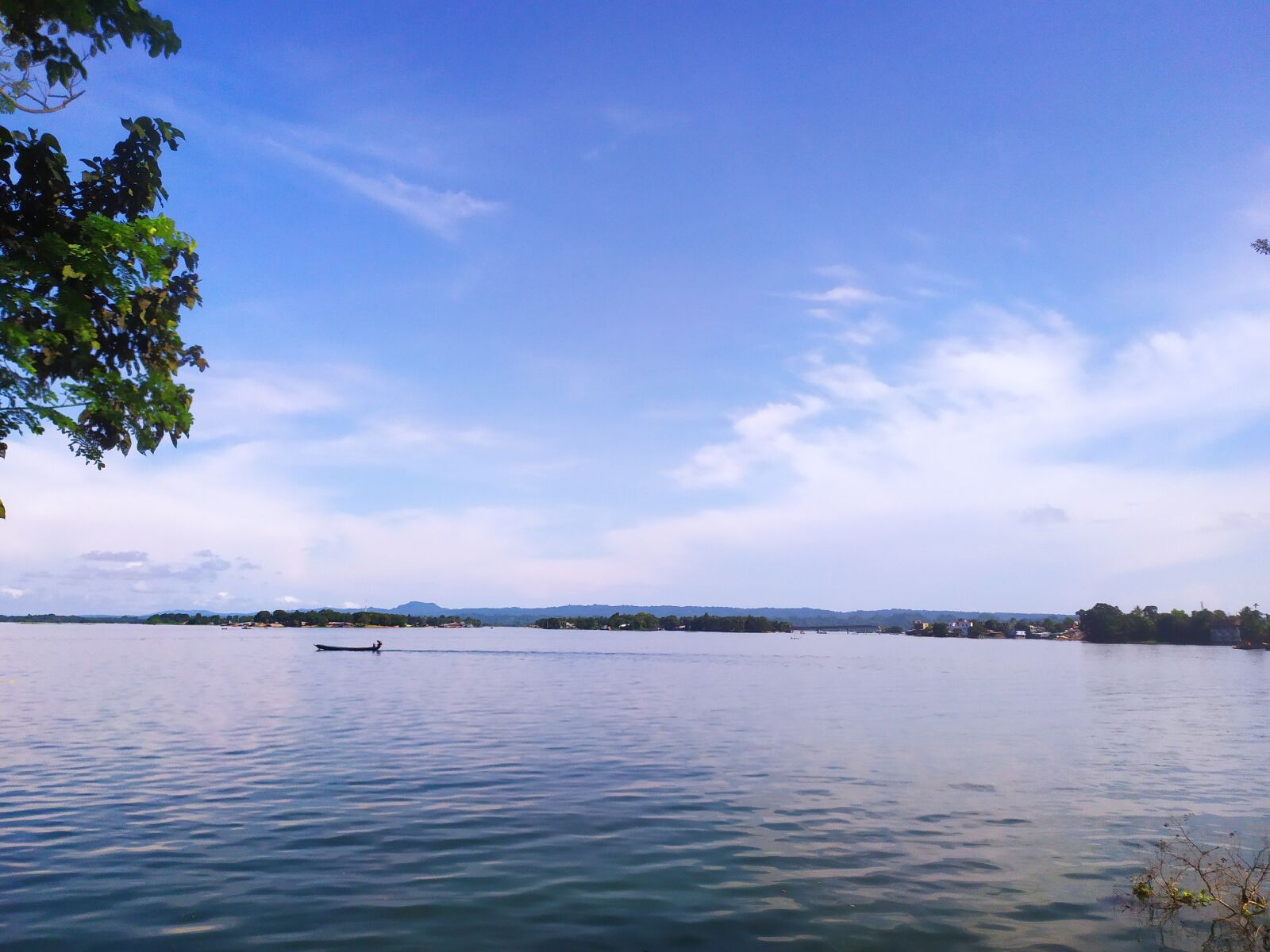 Xiaomi Redmi Note 7 sample photo. Beautiful, lake, tree photography