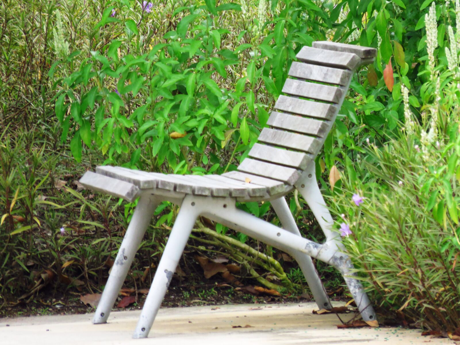 Canon PowerShot SX60 HS sample photo