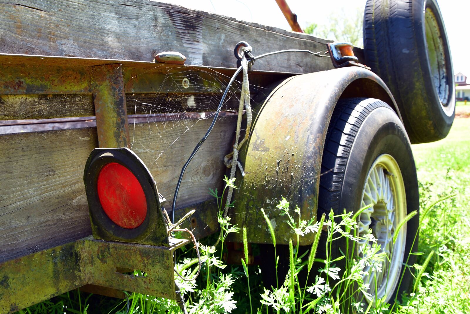 Nikon D7500 sample photo. Spider web, truck, old photography