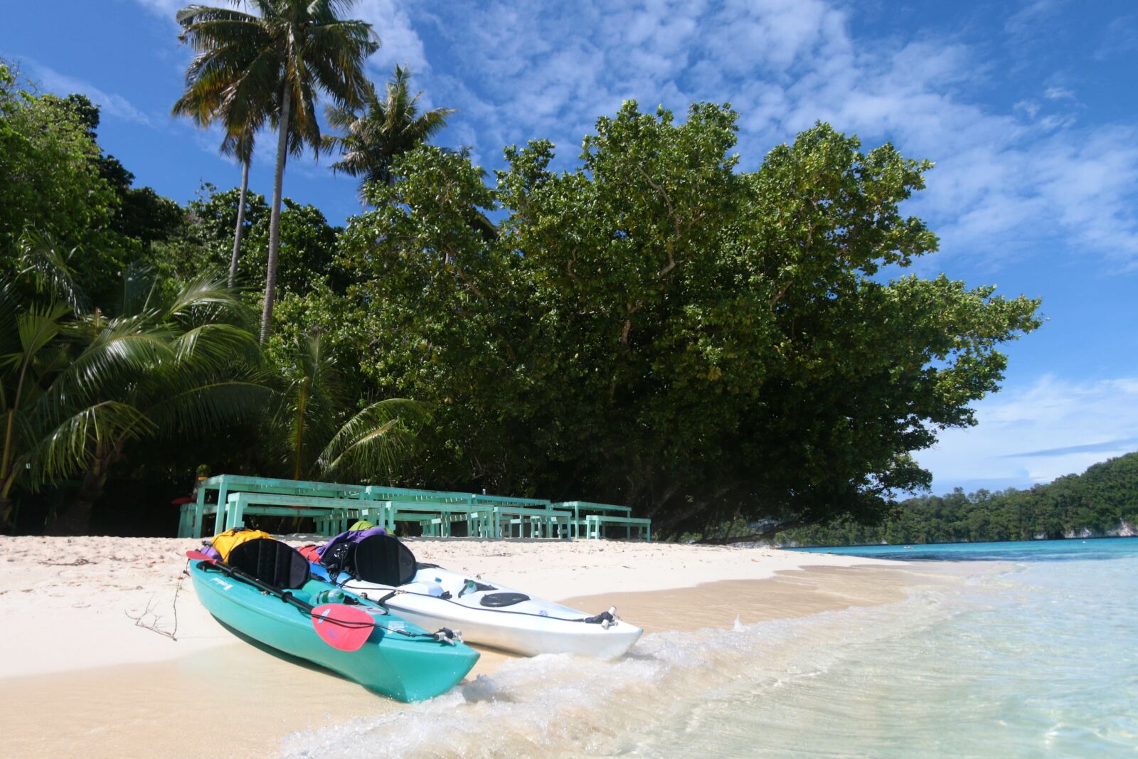 Canon EOS 70D sample photo. Summer, tropical, tree photography