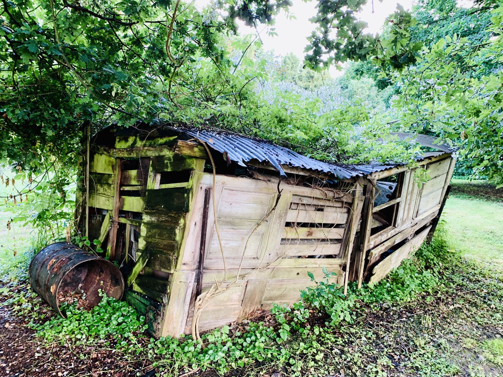 iPhone XS back dual camera 4.25mm f/1.8 sample photo. Shed, overgrown, shack photography
