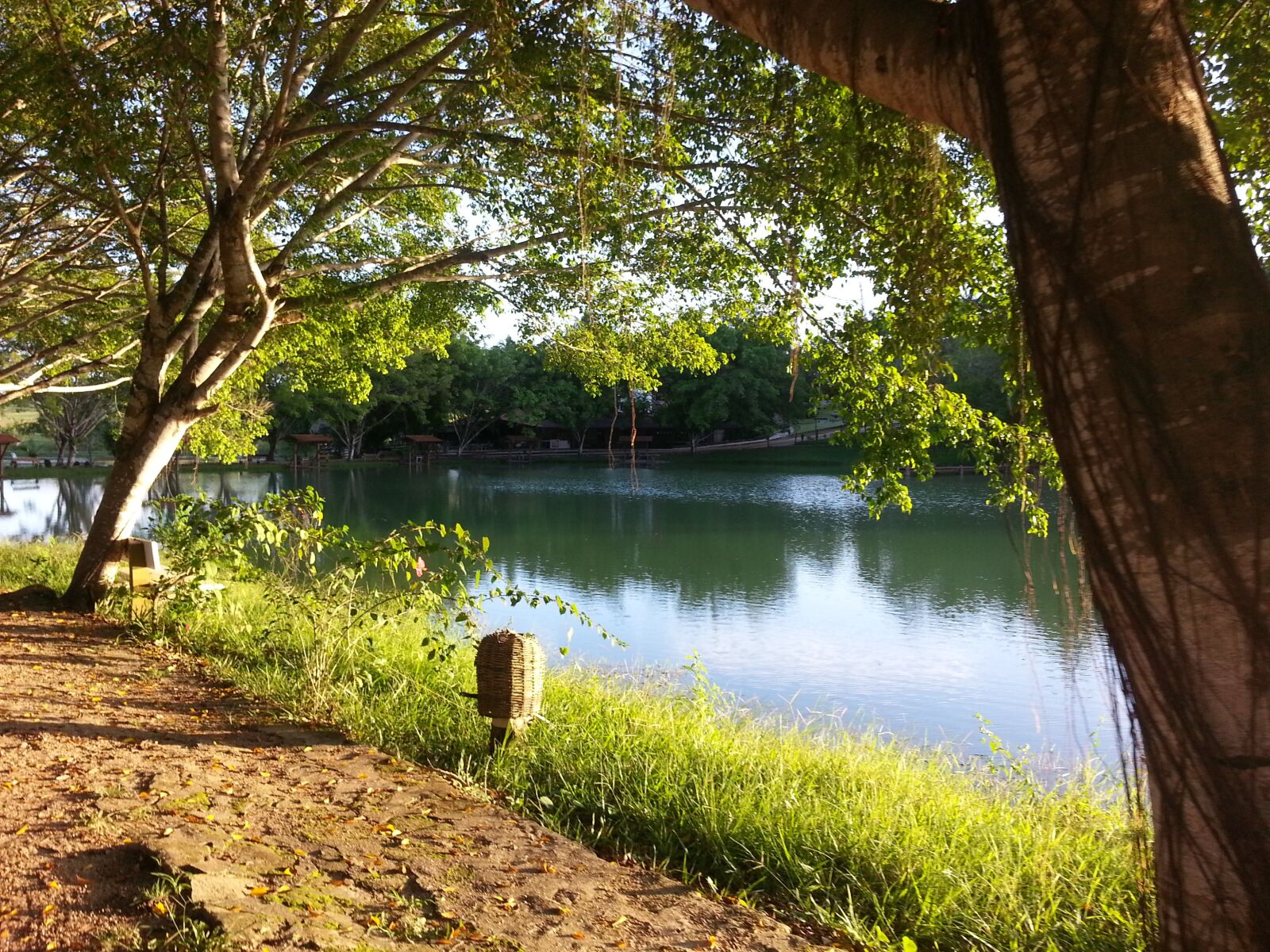 Samsung Galaxy Note2 sample photo. Path, road, trees photography