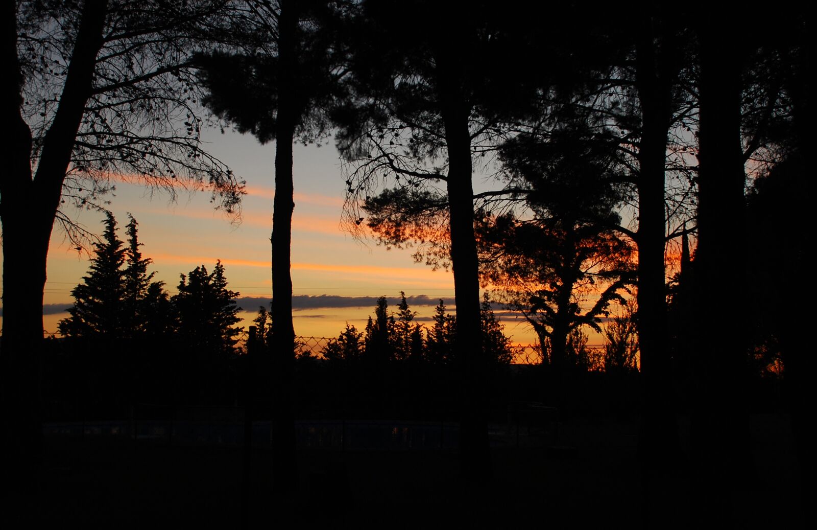 Nikon D40X sample photo. Landscape, sunset, trees photography