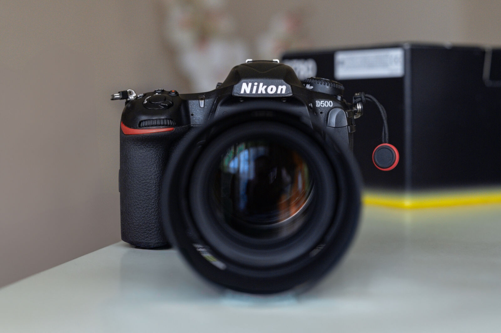 Nikon D780 sample photo. Iso grain check at 2500 photography