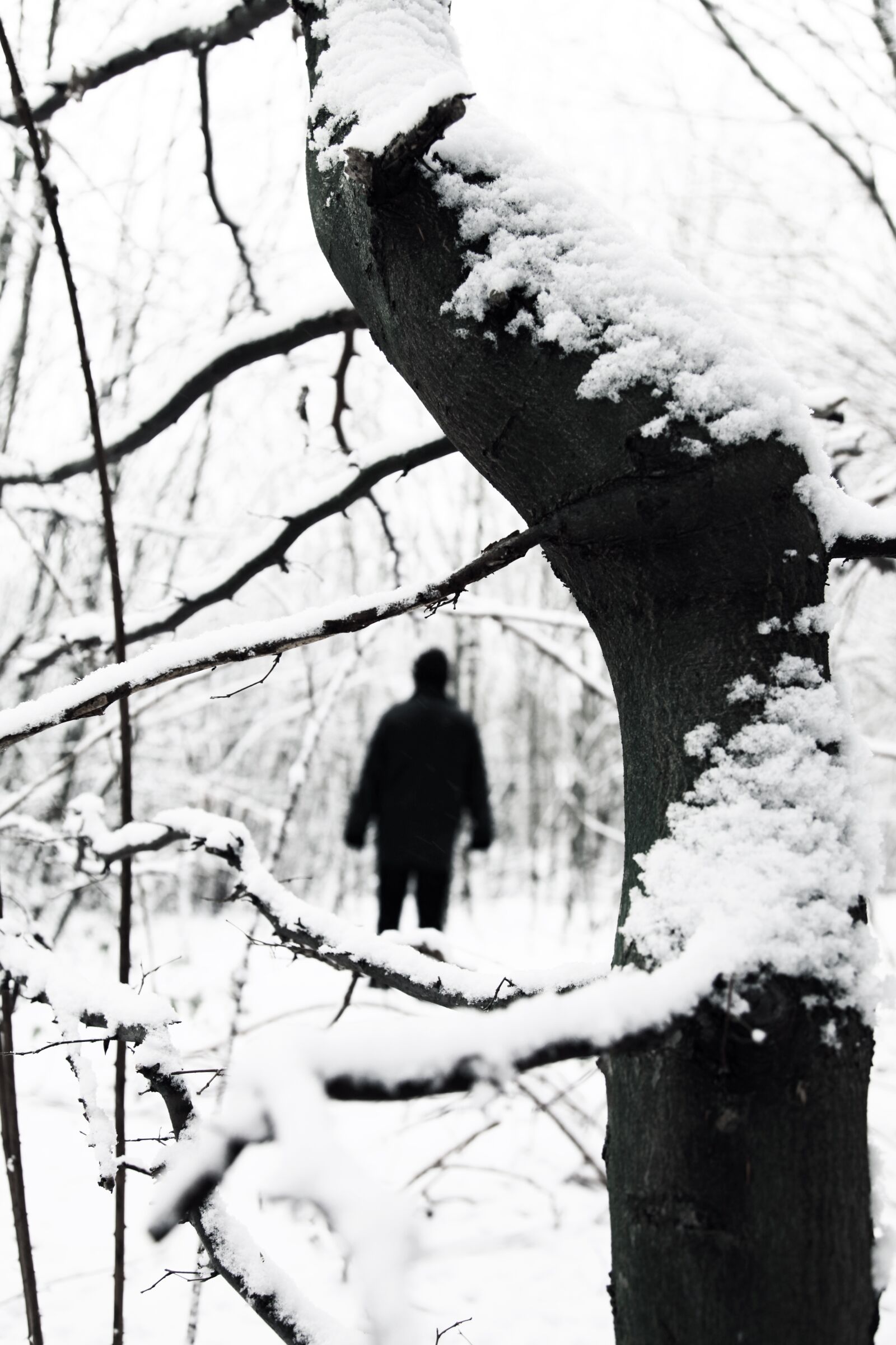 Canon EOS 5D Mark II sample photo. Black and white, man photography