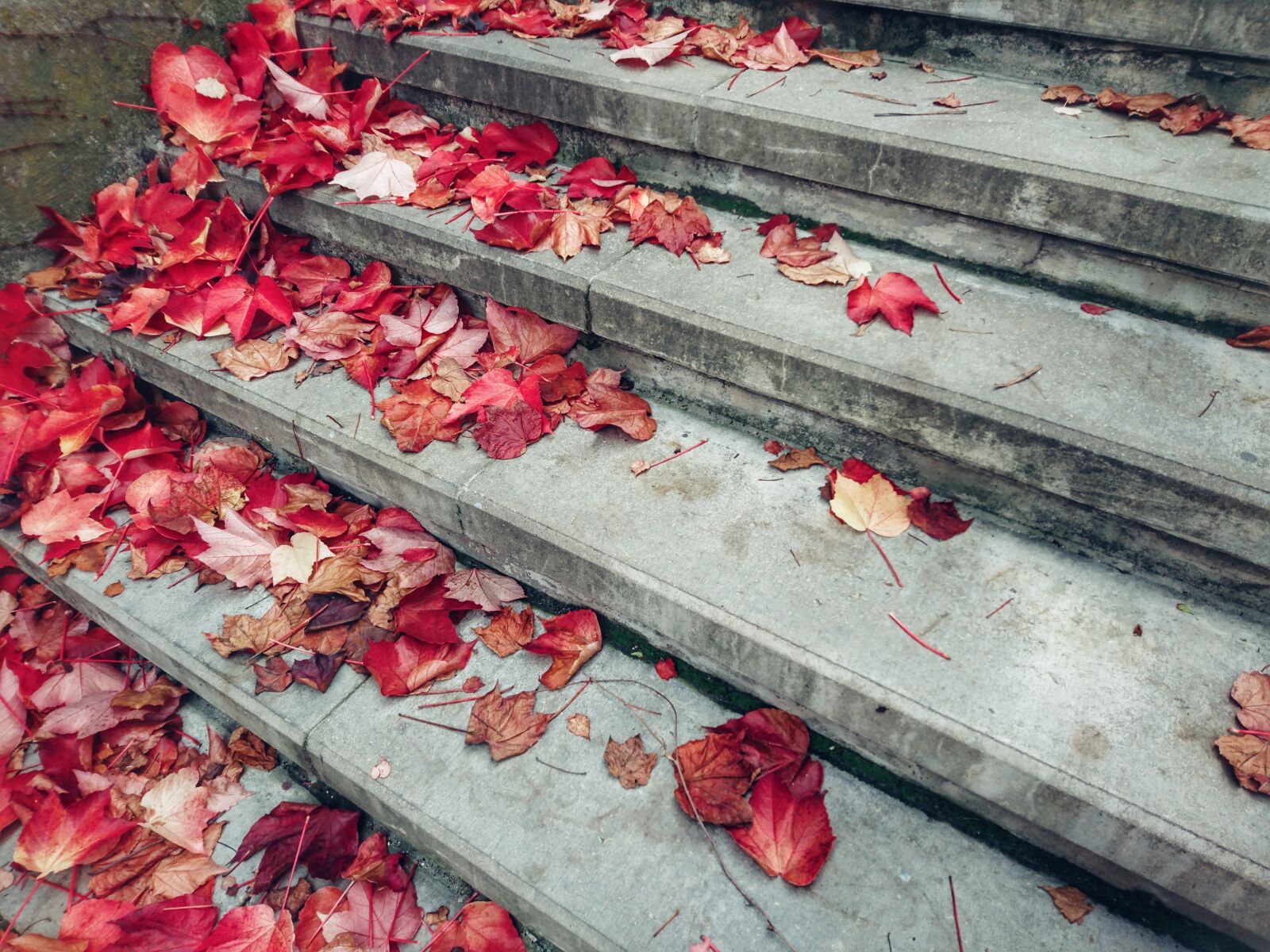 Sony Xperia Z5 Compact sample photo. Stairs, autumn, leaves photography