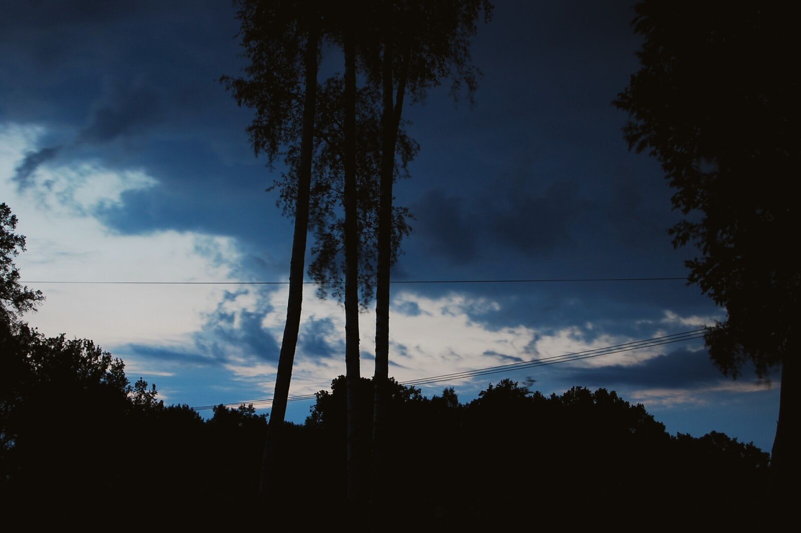 Nikon D40 + Nikon AF-S DX Nikkor 18-55mm F3.5-5.6G II sample photo. Clouds, evening, forest, nature photography