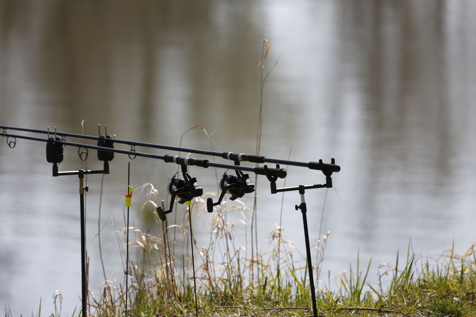 Canon EF 100-400mm F4.5-5.6L IS USM sample photo. Fish, fishing, rods photography