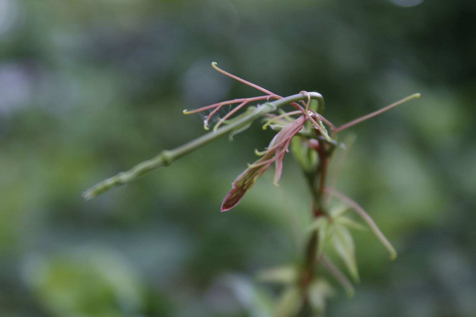 Canon EOS 7D sample photo