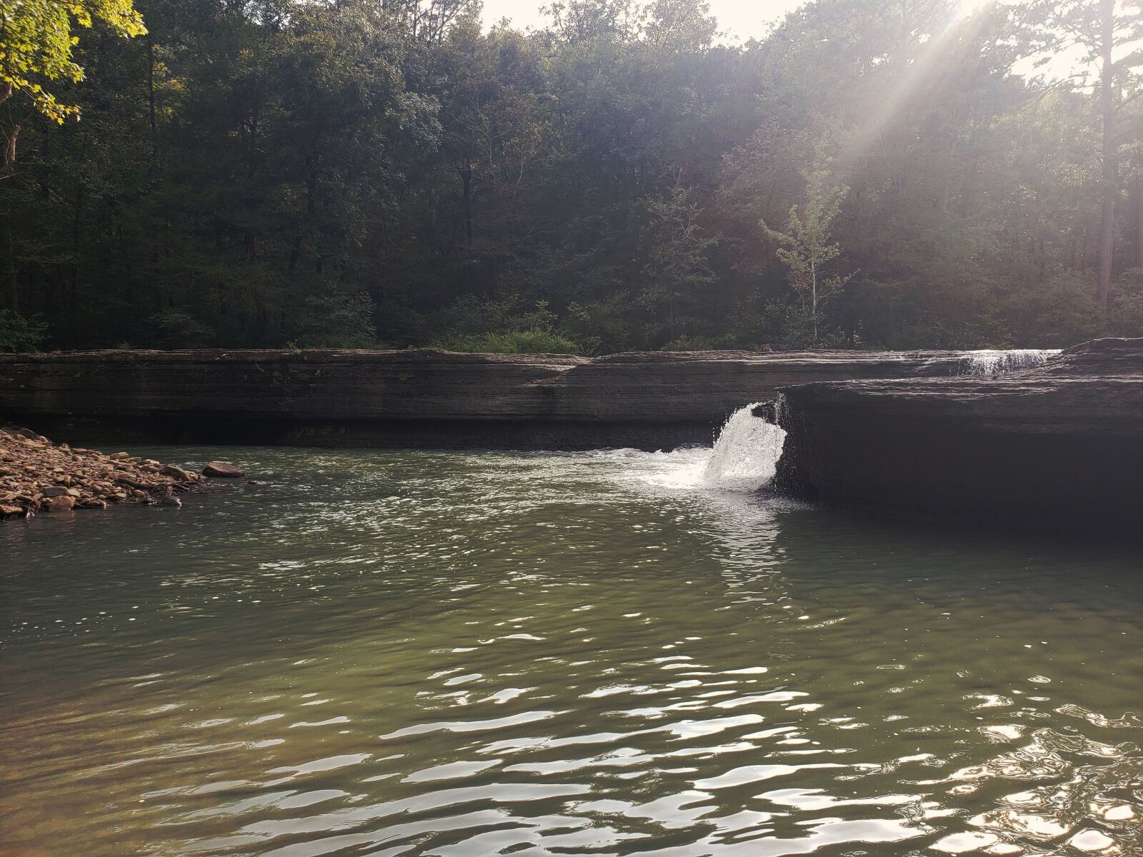 Samsung Galaxy Note9 sample photo. Stream, river, forest photography