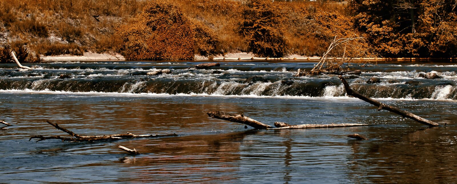 Canon EOS 80D sample photo. Water, wood, nature photography