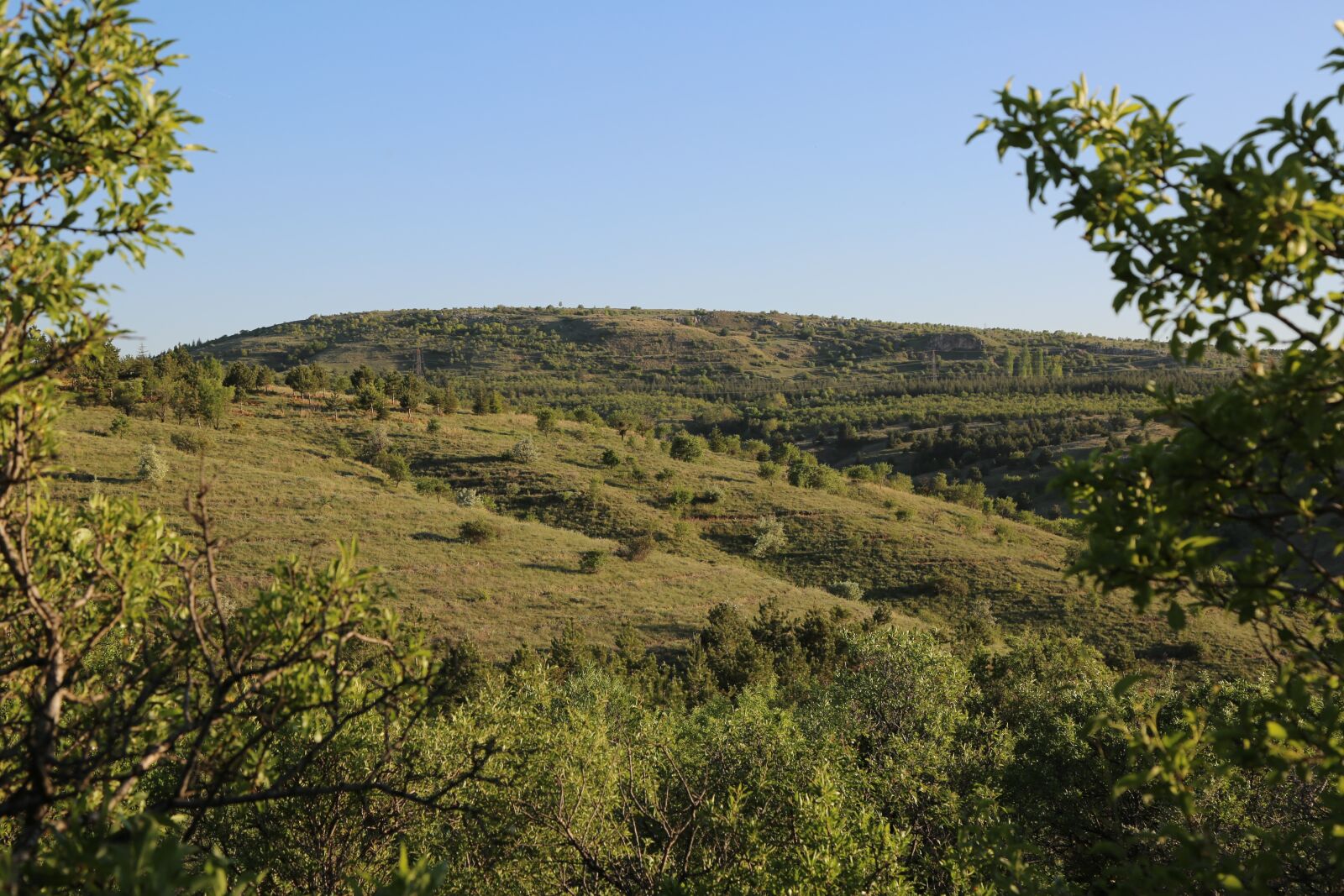 Canon EF 24-105mm F4L IS USM sample photo. Nature, tree, sky photography