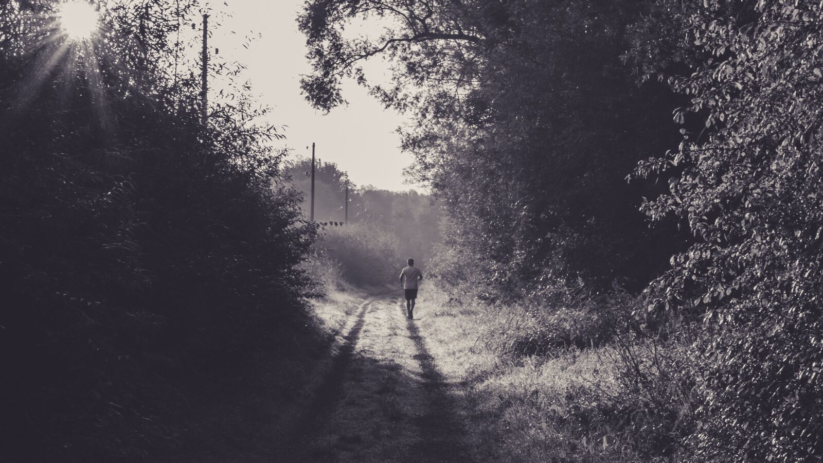 Canon EOS 650D (EOS Rebel T4i / EOS Kiss X6i) sample photo. Jogger, morning, forest photography