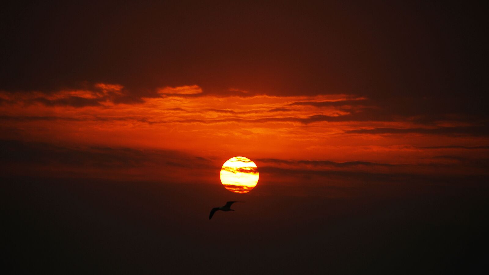 Nikon D2Xs sample photo. Sunrise, morning, gangneung photography