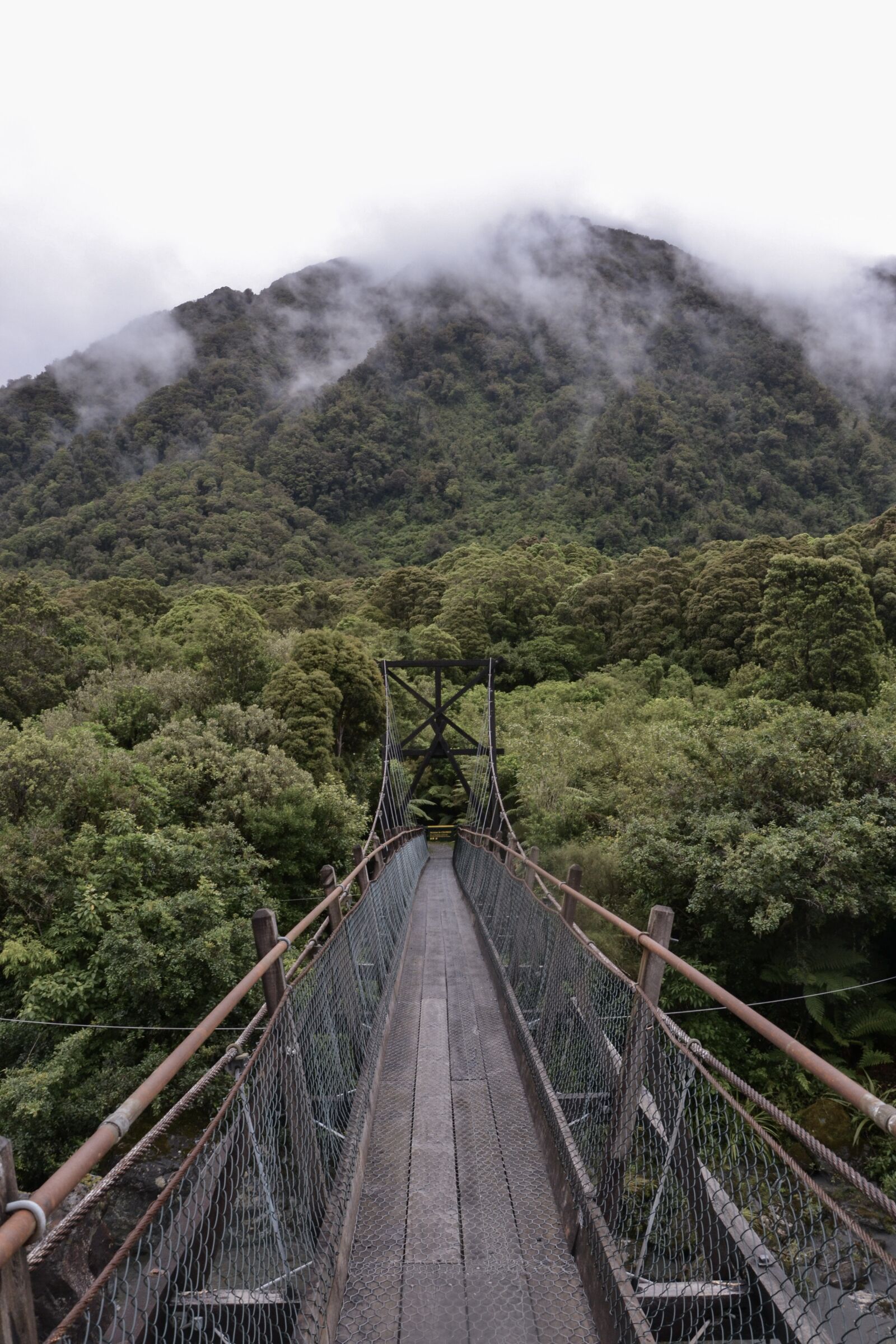 Nikon D3100 sample photo. New zealand, bridge, forest photography